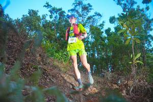 BIB: 2001
                            <button type="button" onclick="openModal(21831951)" class="btn btn-primary btn-sm float-right btn-popup" data-toggle="modal" data-target=".modal-high-quality">
                        <i class="fas fa-shopping-cart"></i> Add to Cart
                    </button>
                                            <button type="button" onclick="isThisMe(21831951, true)" class="btn btn-success btn-sm float-right btn-popup btn-isme hidden" data-toggle="tooltip" data-placement="bottom" title="นี่คือรูปของคุณใช่ไหม คลิกที่นี่เพื่อเอาเข้าอัลบั้ม">
                        <i class="fas fa-plus"></i> Add to album
                    </button>
                    <button type="button" onclick="isThisMe(21831951, false)" class="btn btn-warning btn-sm float-right btn-popup btn-isnotme hidden">
                        <i class="fas fa-ban"></i> Remove from album
                    </button>